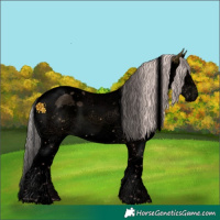 Horse Color:Void Watercolor Silver Brown Sabino Splash Tobiano 