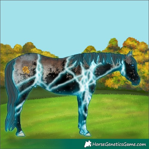 Horse Color:Void Thunderstruck Brown Ice Onyx Sabino Splash 