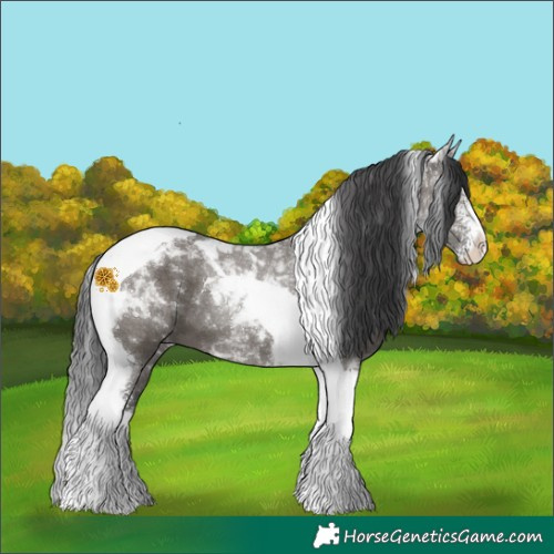 Horse Color:Grullo Sabino Tobiano 