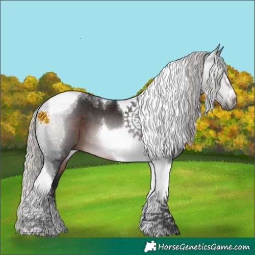 Horse Color:Gray Silver Brown Tobiano 