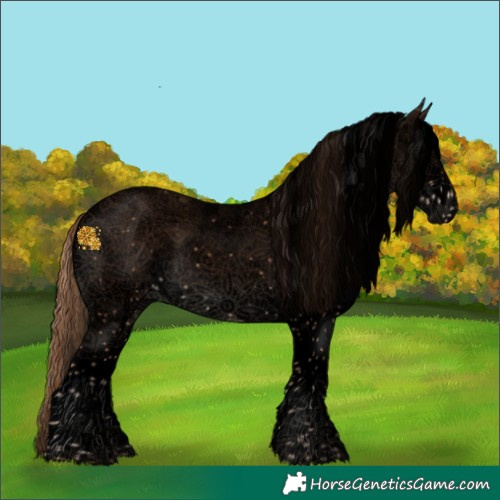 Horse Color:Void White Spotted Chestnut Splash Tobiano Appaloosa 