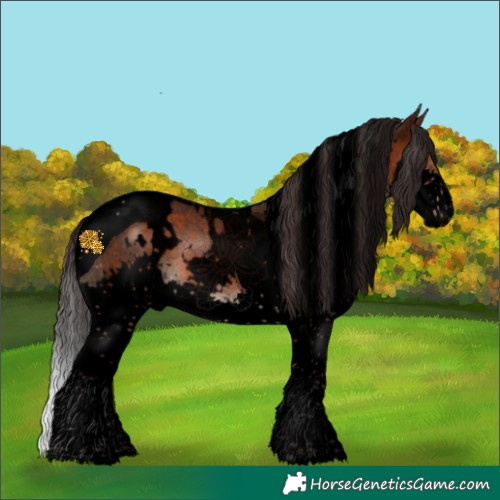 Horse Color:Void White Spotted Brown Splash Tobiano 