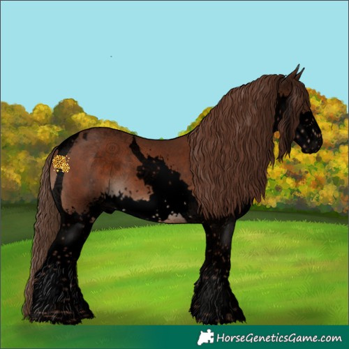 Horse Color:Void Liver Chestnut Splash Tobiano