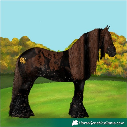 Horse Color:Void Liver Chestnut Sabino Splash Tobiano Appaloosa 