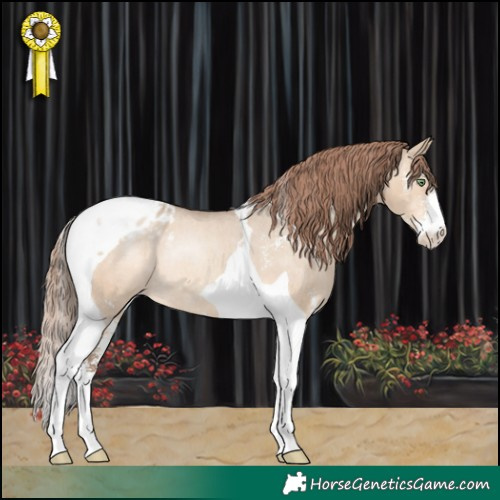 Horse Color:Sable Champagne Dun Sabino Tobiano Appaloosa Rabicano 