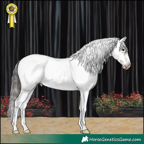 Horse Color:Brown Sabino Frame 