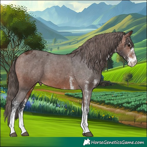 Horse Color:White Spotted Brown Blanket 