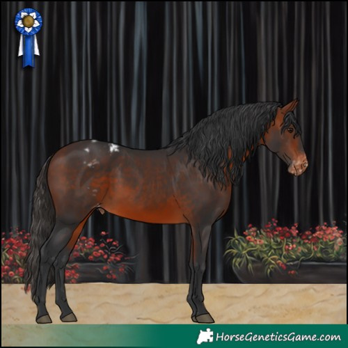 Horse Color:Bay Blanket 