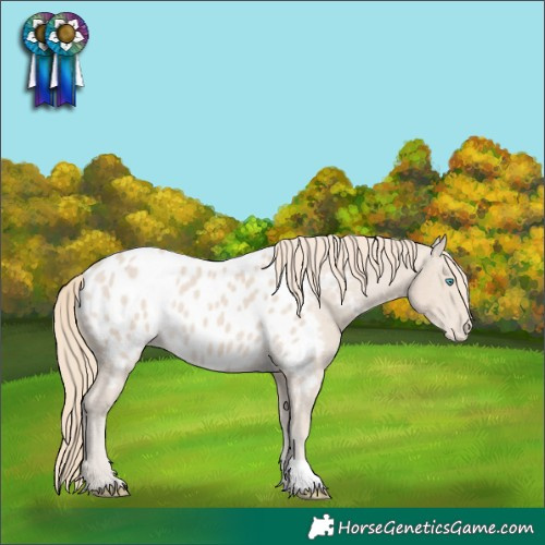 Horse Color:Smoky Creme Near Leopard 