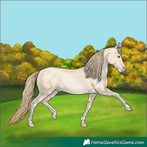 Horse Color:Smoky Black Pearl 