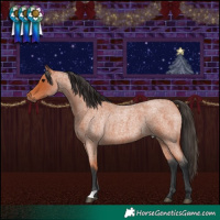 Horse Color:Bay Roan