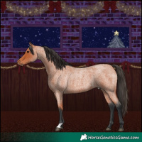 Horse Color:Bay Roan 