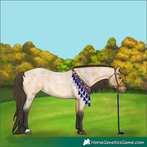 Horse Color:Buckskin Roan