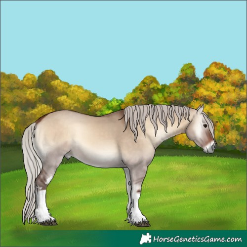 Horse Color:Silver Brown Onyx Tobiano 
