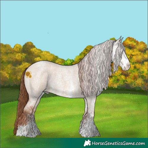 Horse Color:Red Dun Roan Sabino 