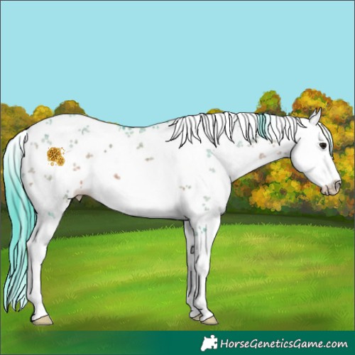 Horse Color:Watercolor White Spotted Bay Sabino 