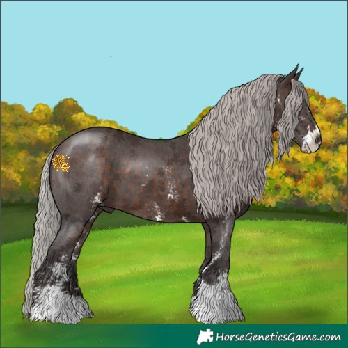 Horse Color:Silver Brown Sabino 
