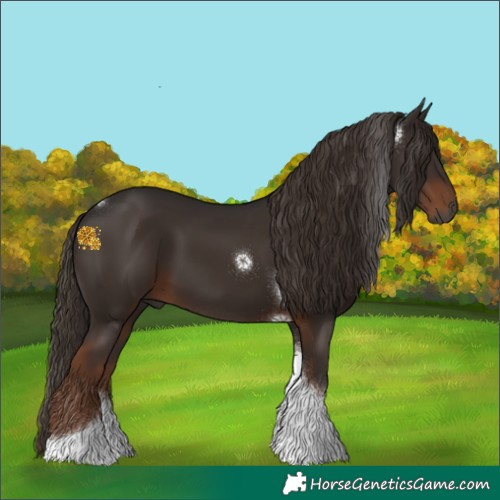 Horse Color:Gray Liver Chestnut Tobiano 