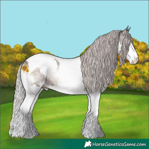 Horse Color:Silver Brown Ice Onyx Splash Tobiano Blanket 