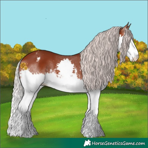 Horse Color:White Spotted Chocolate Silver Brown Splash Appaloosa 