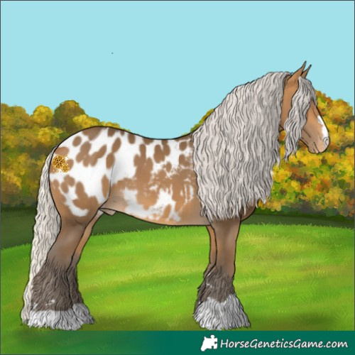 Horse Color:Silver Buckskin Blanket 