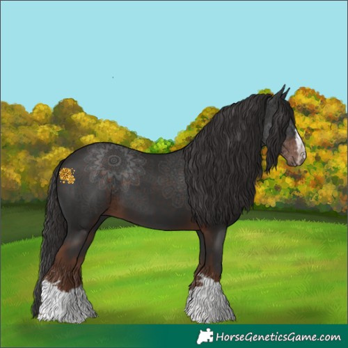 Horse Color:Liver Chestnut 