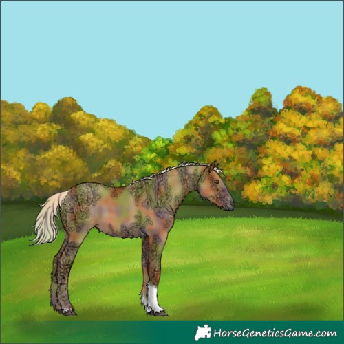 Horse Color:Nacre Palomino Ice Dun Tobiano