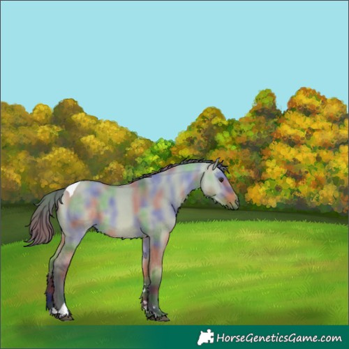 Horse Color:Nacre Buckskin Dun Tobiano