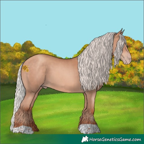 Horse Color:Silver Sable Champagne 
