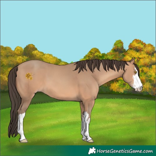 Horse Color:White Spotted Amber Champagne 
