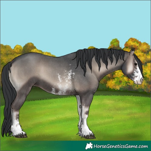 Horse Color:Blue Onyx Mushroom Sabino 