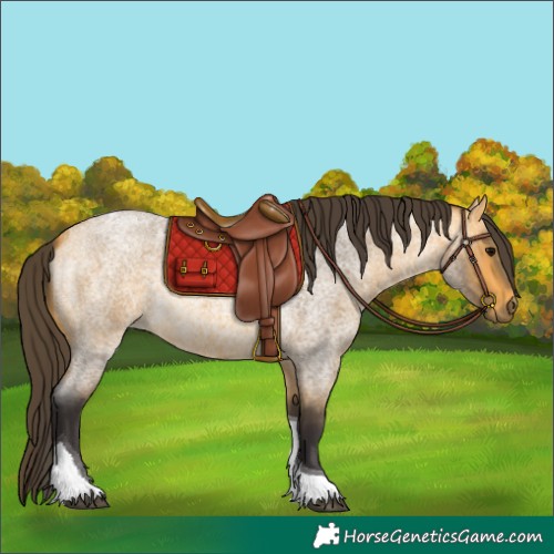 Horse Color:Buckskin Roan Tobiano 