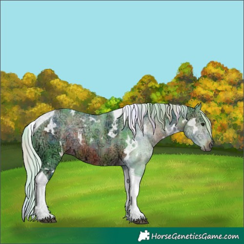 Horse Color:Nacre Watercolor White Spotted Silver Brown Ice Tobiano 