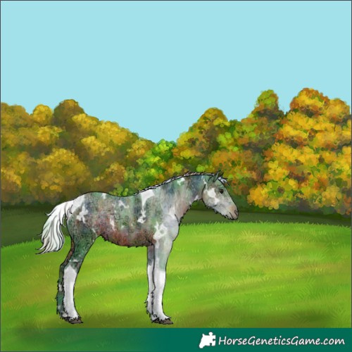 Horse Color:Nacre Watercolor White Spotted Silver Brown Ice Tobiano 