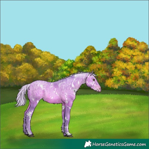 Horse Color:Watercolor White Spotted Silver Brown Ice Pearl Rabicano 
