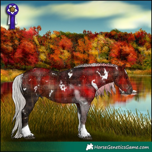 Horse Color:Plaid  White Spotted Silver Brown Ice Tobiano Rabicano 