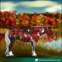 Horse Color:Plaid  White Spotted Silver Brown Ice Tobiano Rabicano 