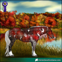 Horse Color:Plaid  White Spotted Silver Brown Ice Tobiano Rabicano 