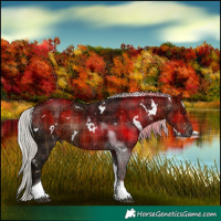 Horse Color:Plaid White Spotted Silver Brown Ice Tobiano Rabicano