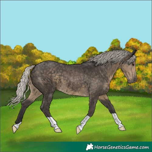 Horse Color:Unknown 