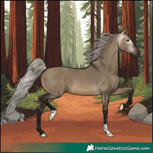 Horse Color:Unknown 