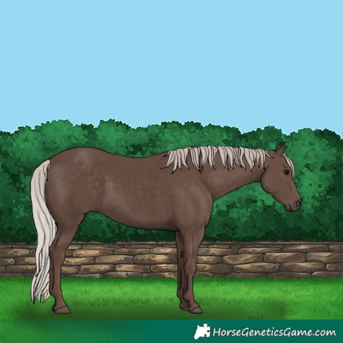 Horse Color:Silver Black 