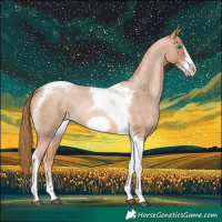 Horse Color:Red Roan Pearl Tobiano Frame