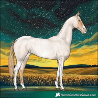 Horse Color:Red Roan Pearl Tobiano Frame 