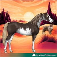 Horse Color:White Spotted Liver Chestnut 