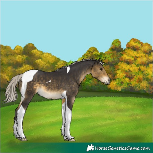 Horse Color:Silver Buckskin Tobiano 
