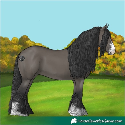 Horse Color:Grullo Sabino 