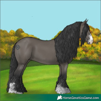 Horse Color:Grullo Sabino 