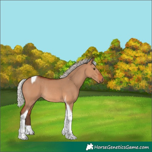 Horse Color:Silver Bay Dun Tobiano Rabicano 