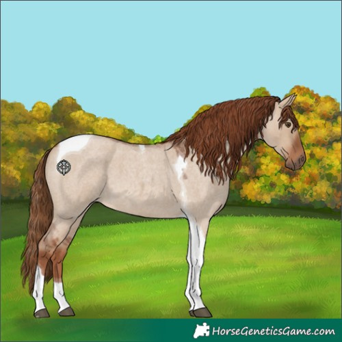 Horse Color:Red Dun Roan Tobiano